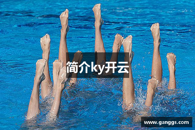 简介ky开云